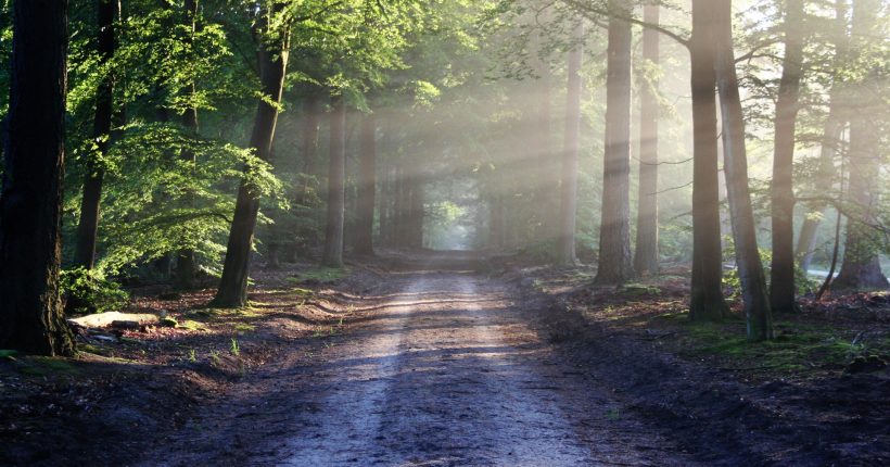 road-sun-rays-path