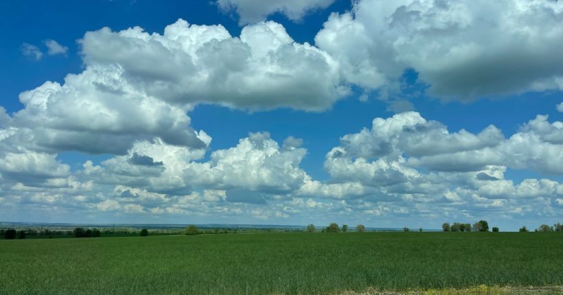 a field of grass with clouds in the sky
