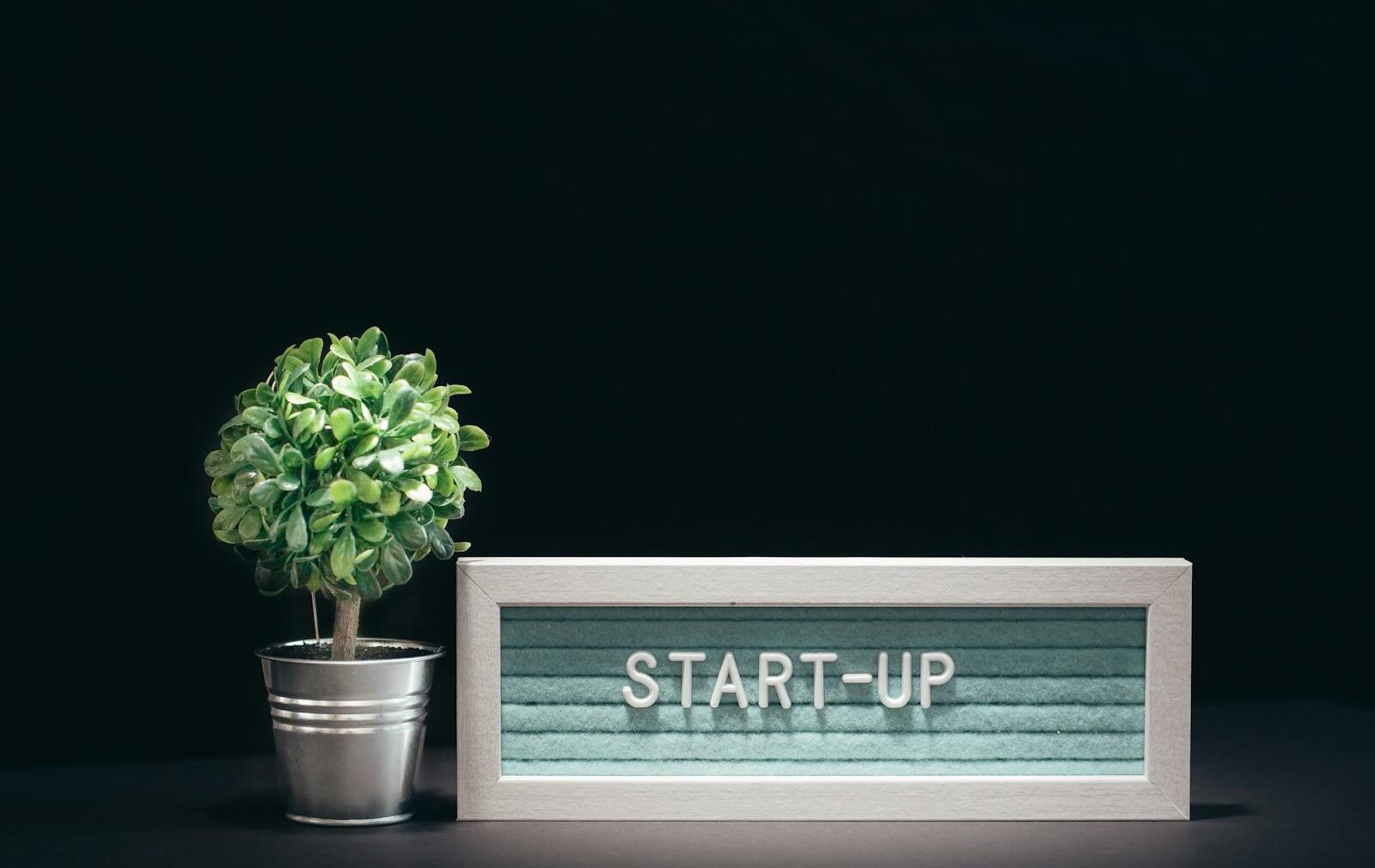 A modern close-up of a start-up theme with a potted plant and text board on a black background.