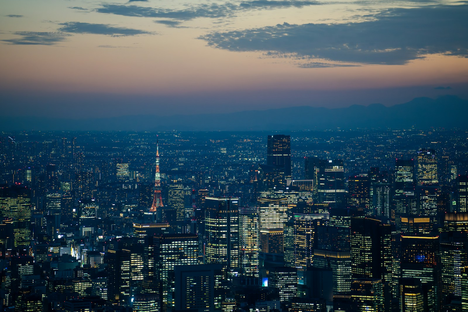 a view of a city at night from the top of a building