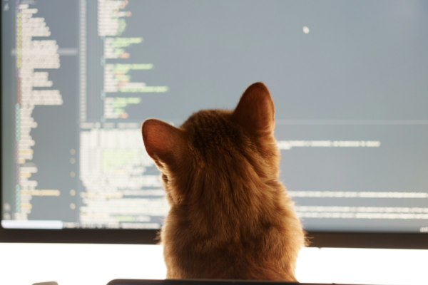krybarbax5s.webp