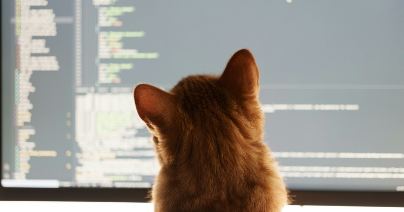 krybarbax5s.webp